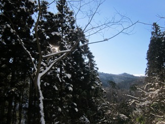 雪山散策