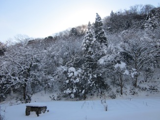 雪山散策