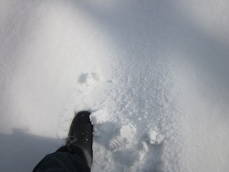 雪山散策