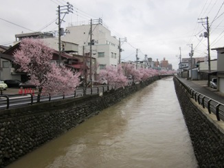 儀明川沿いを散歩