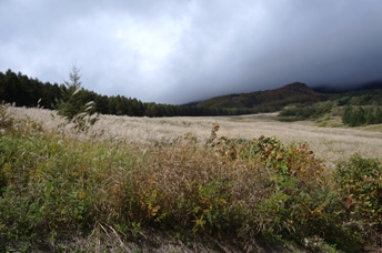 笹ヶ峰