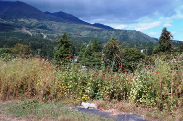 笹ヶ峰