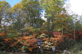 笹ヶ峰牧場