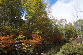 笹ヶ峰牧場