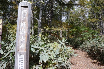 笹ヶ峰遊歩道