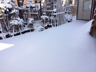 高田の雪模様
