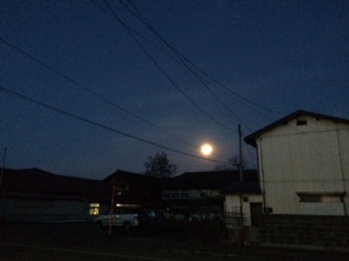 早朝の散歩