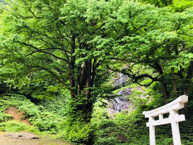 若者との旅