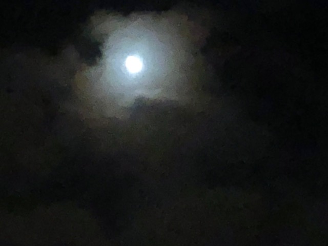 朝の月