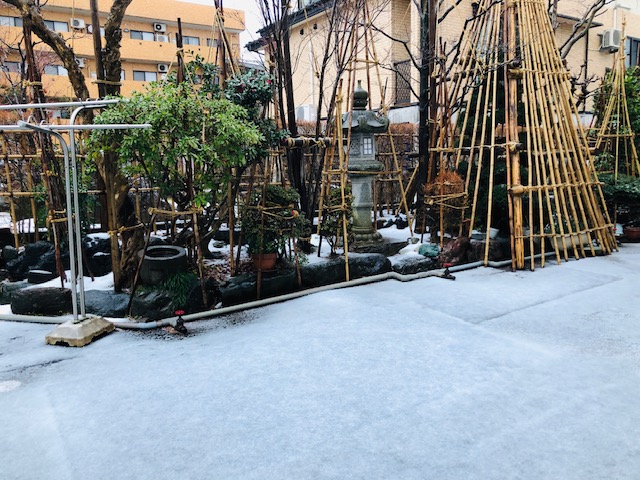 雪景色