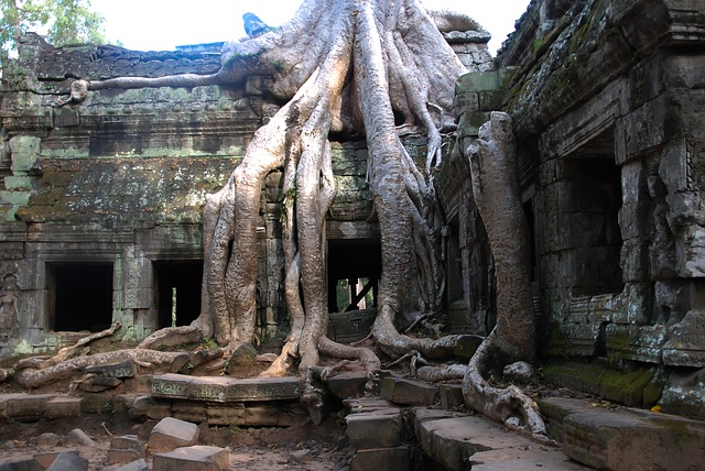 angkor-wat-425690_640.jpg