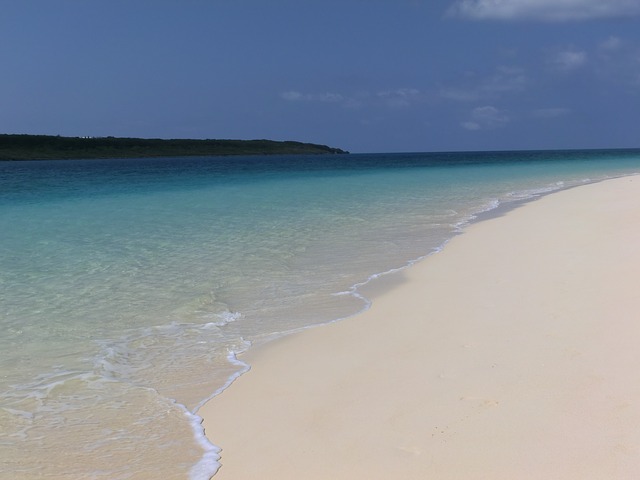 okinawa-746645_640.jpg