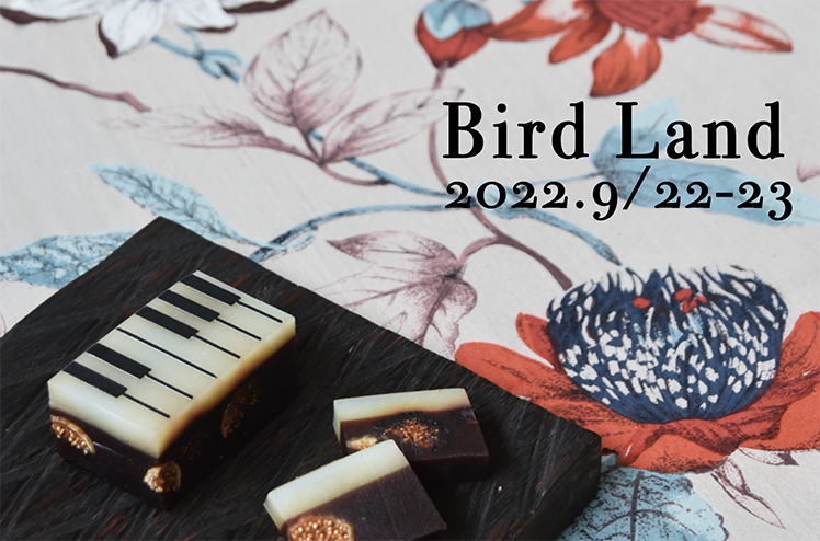 少年漫画 BIRD LAND 22 BIRD LAND 22 少年漫画 BIRD LAND 22 BIRD LAND 22 少年漫画