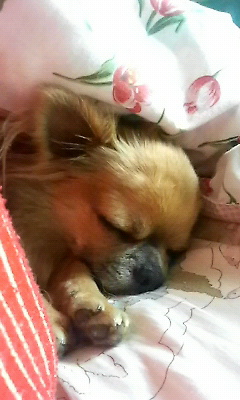 ZZZ