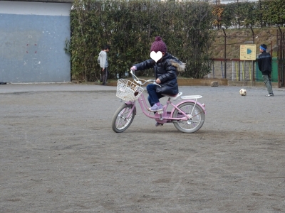 DSC04529¤Î¥³¥Ô¡¼.jpg