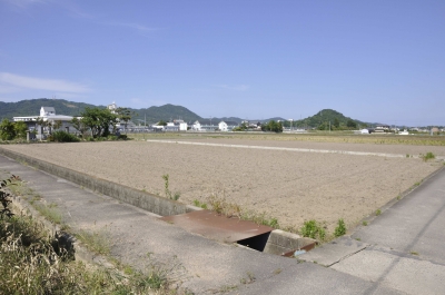 天気最高
