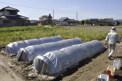 ハウスにしてくれていました