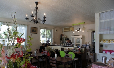 DSC02367 (1280x766).jpg