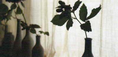 img003.jpg