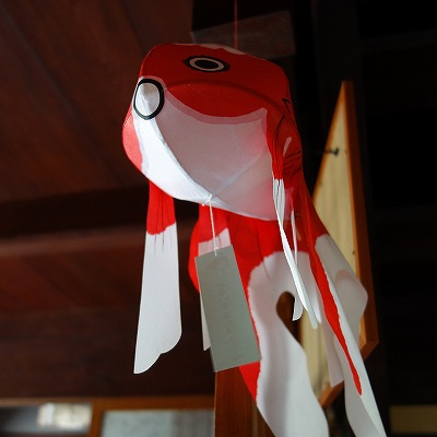 DSC03430.jpg
