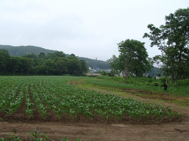 いま