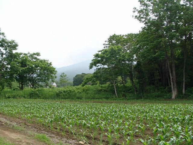 やま