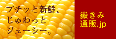 嶽きみ専門通販サイト 嶽きみ通販.jp