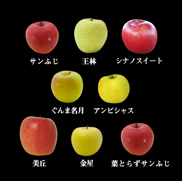 りんごの惑星ネットショップ8種詰め合わせ