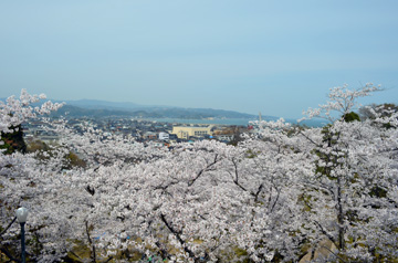DSC_0307.jpg