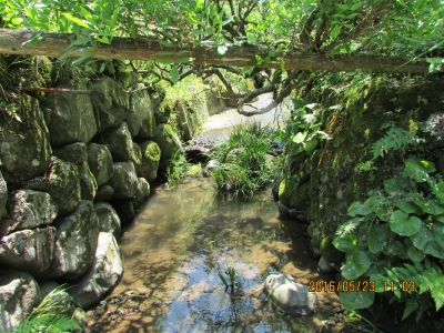 自宅前小川
