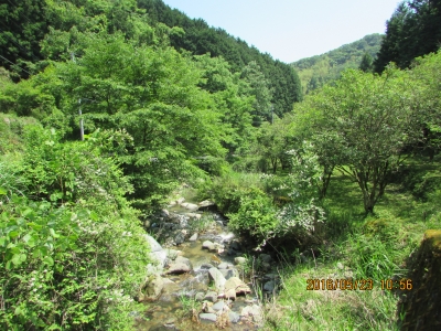渓流