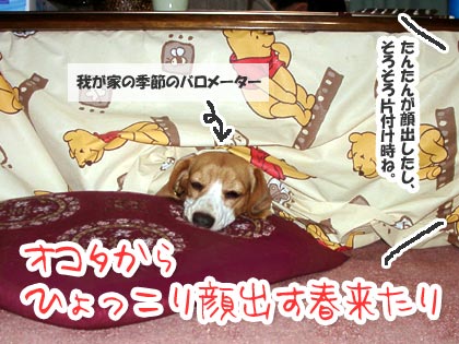 たんたんが目安です 犬川柳