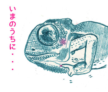 カメレオン