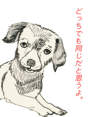犬