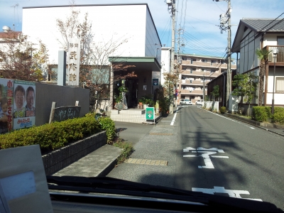 やまぼうし