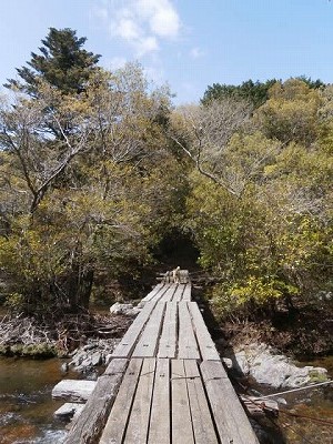 P4210047.jpg