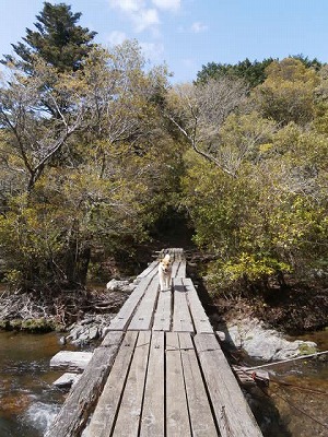 P4210048.jpg