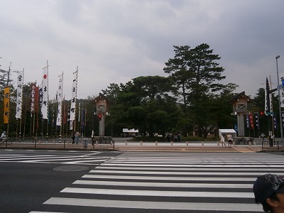 P8010442.jpg