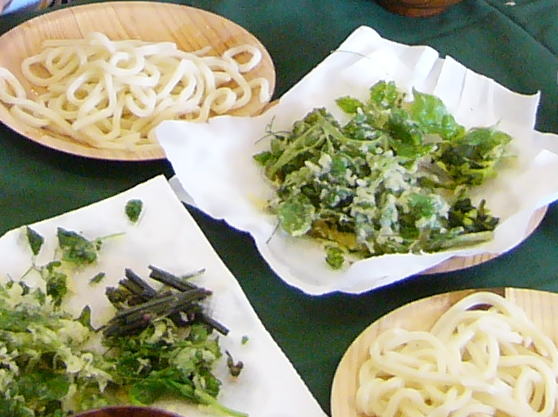 山菜天ぷらと美味しいうどん