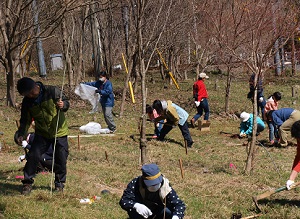 植樹祭