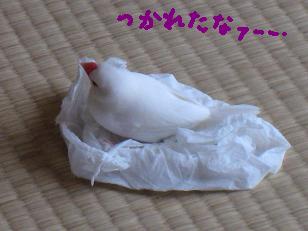 ベットの中