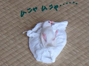 ・・・・・・