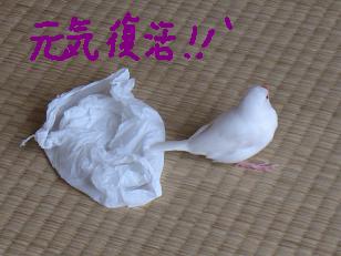 お出かけですか?
