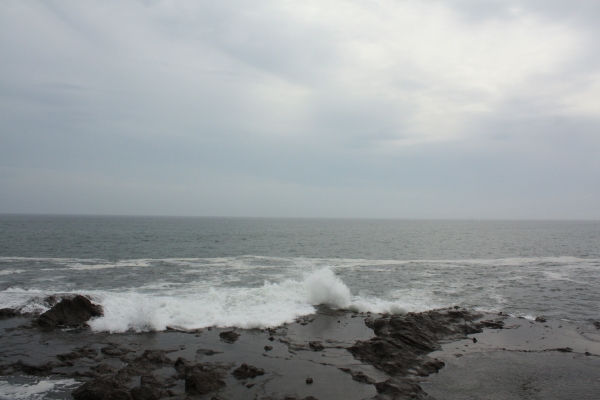 IMG_9269.JPG