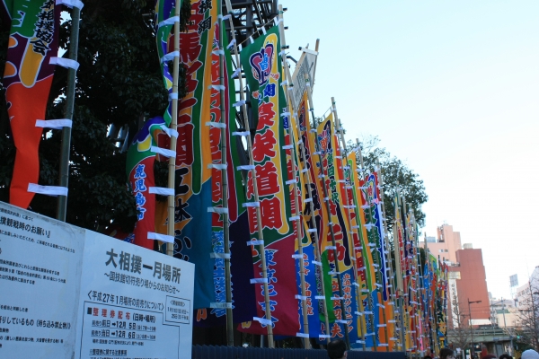 IMG_5845.JPG