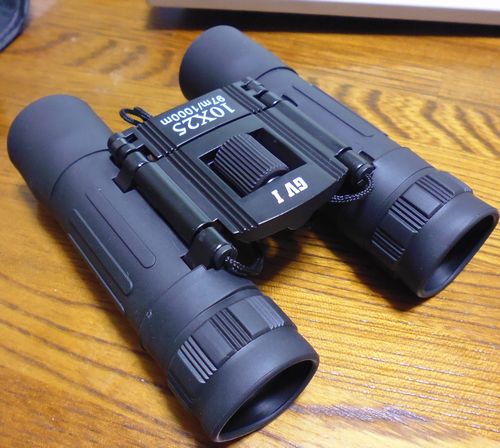 NASHICA(ナシカ) グランビューI 10×25 DCF BR-IR ブラック NASHICA 双眼鏡 ダハ型 NASHICA(ナシカ) グランビューI 10×25