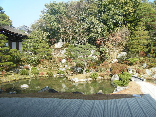 仁和寺南庭