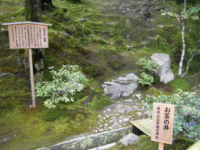 お茶の井