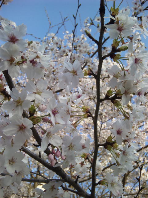 100406_162531.jpg
