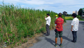 20140826_006.jpg